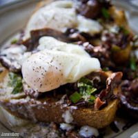 Sourdough topped with mushroom, kale and beet stem saute, poached egg, and scallion mayonnaise